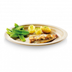 Talerz okrągły 26 cm, kolor NATURE 50 szt.